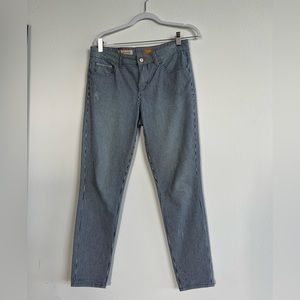 Anthropologie - Pilcro and the Letterpress - Size 28 - Striped Jeans